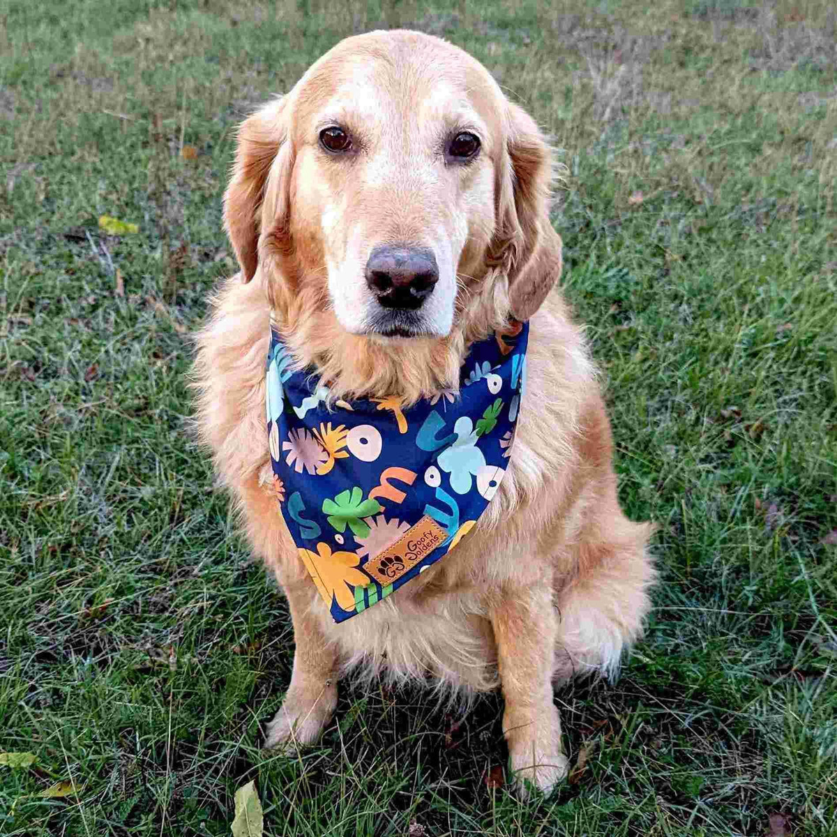 Hundebandana Deep Agua von Goofy Goldens – Ansicht 2