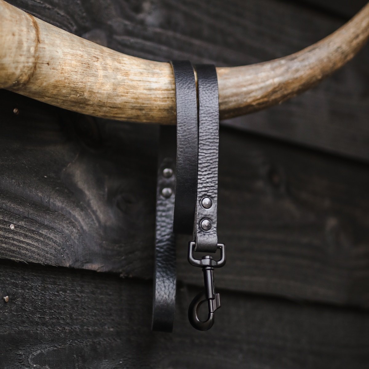 Lederleine in Schwarz von Cooper & Quint