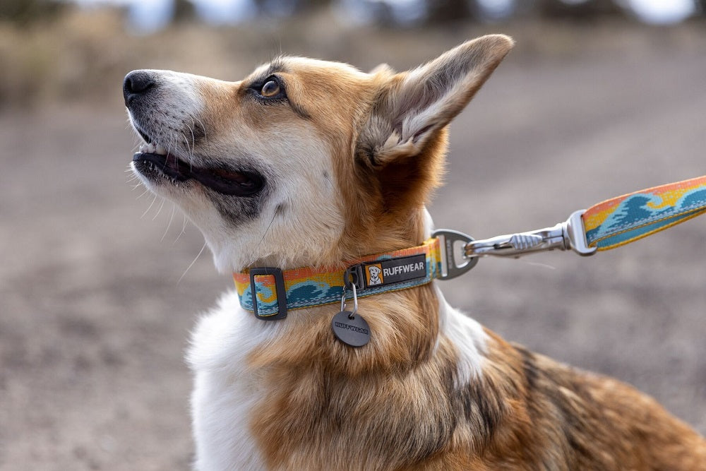 Ruffwear Crag Hundehalsband Rising Wave – Ansicht 4