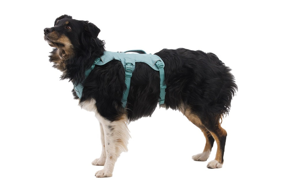 Ruffwear Web Master Hundegeschirr River Rock Green – Ansicht 6