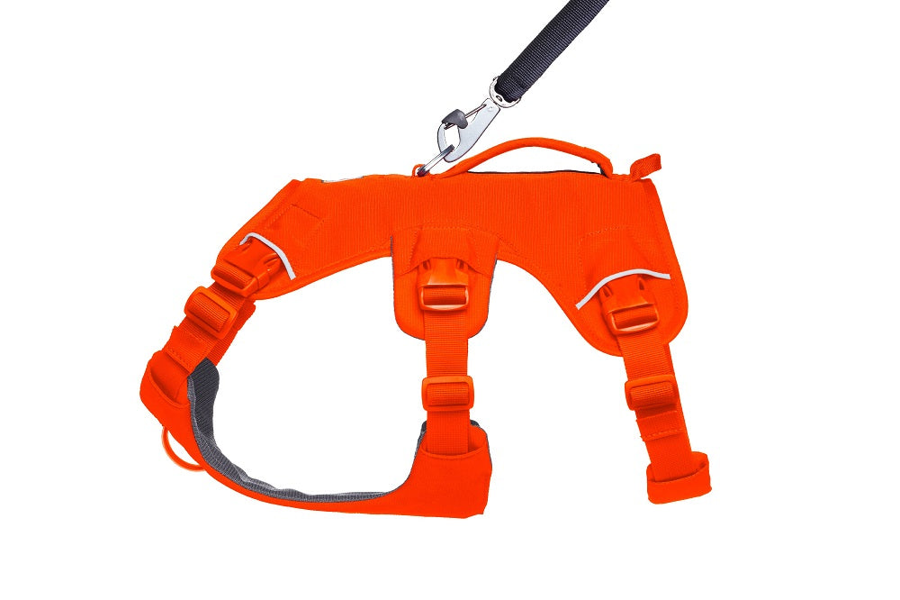 Ruffwear Web Master Hundegeschirr Blaze Orange – Ansicht 6