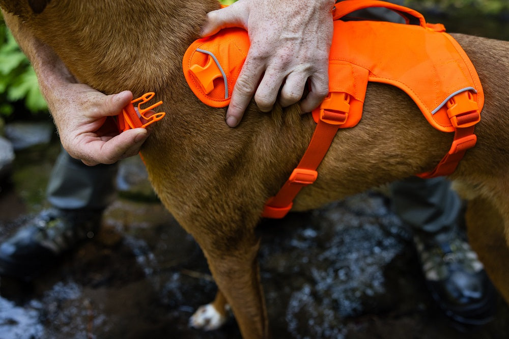 Ruffwear Web Master Hundegeschirr Blaze Orange – Ansicht 7