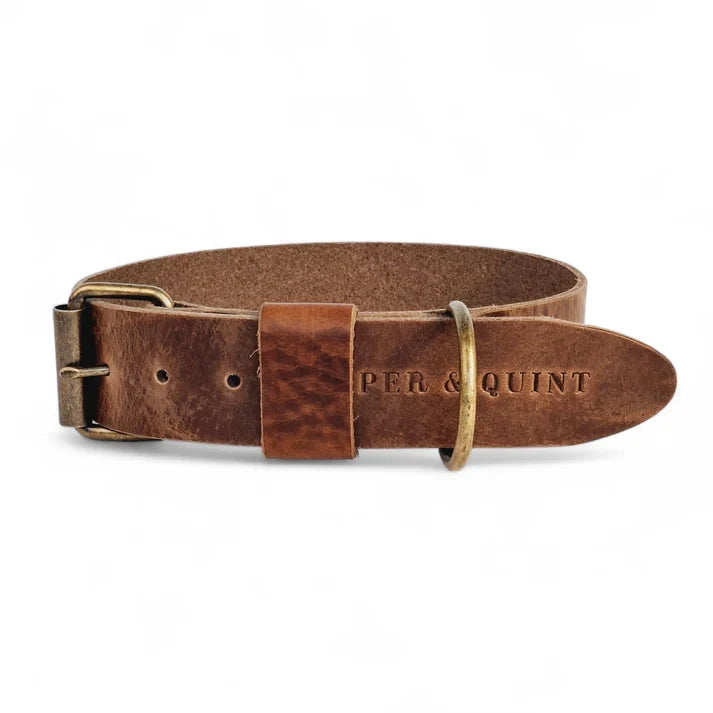 Breites Lederhalsband in Taupe von Cooper & Quint