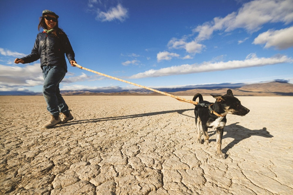 Ruffwear Crag Hundeleine Desert Spice – Ansicht 4