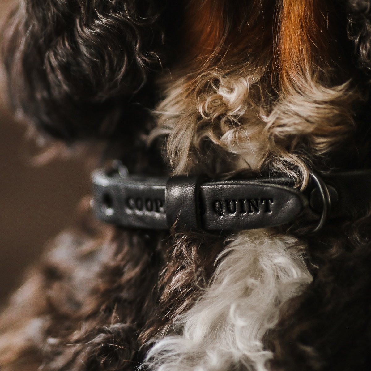 Geflochtenes Lederhalsband TWISTED in Schwarz von Cooper & Quint