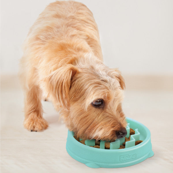 Hund frisst aus dem Outward Hound Slo Bowl Wave Mint