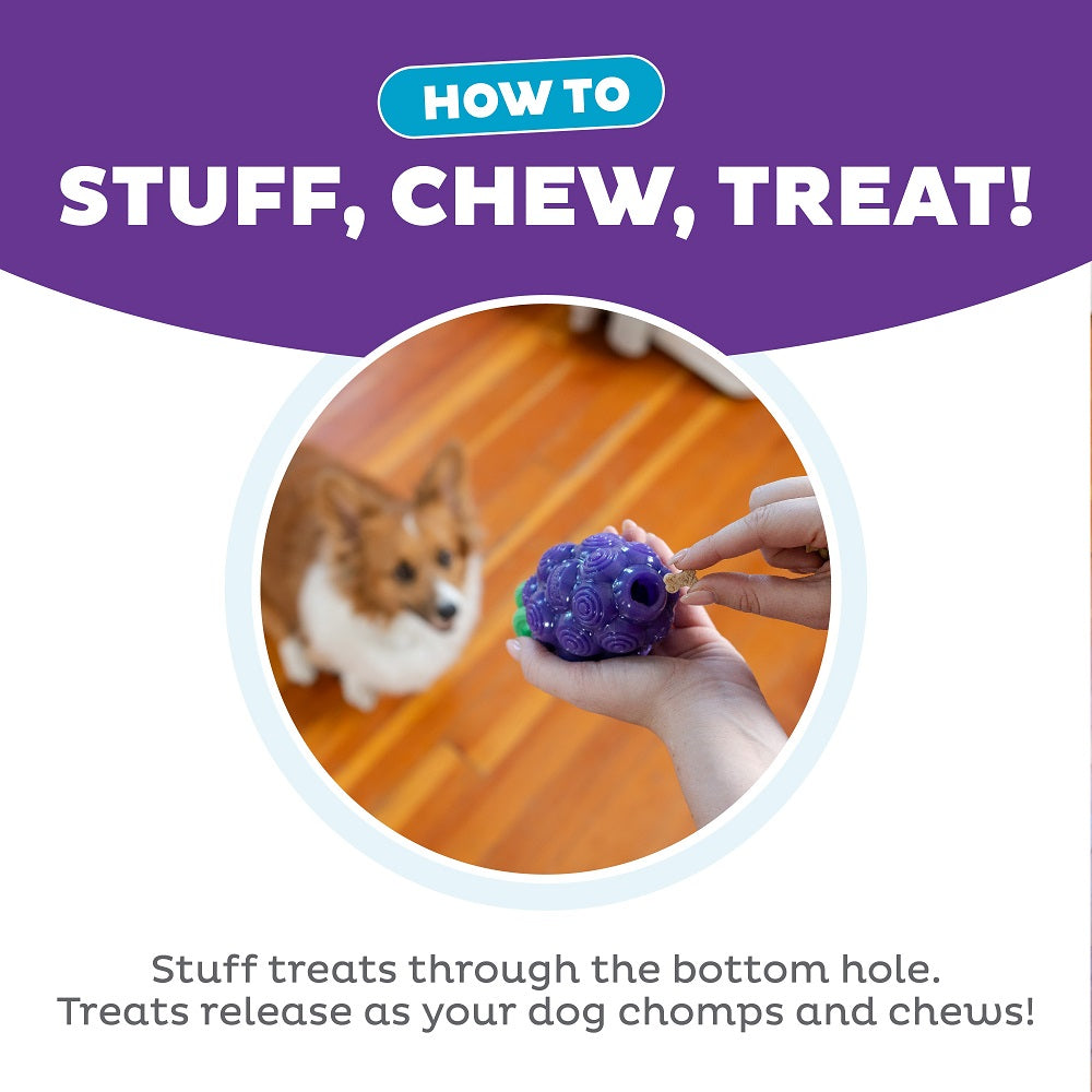 Planet Dog Dental Grapes – Ansicht 4