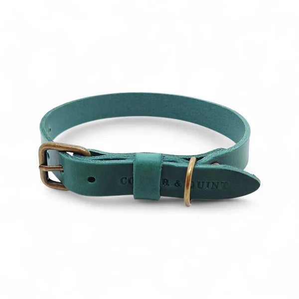 Lederhalsband in Grün von Cooper & Quint