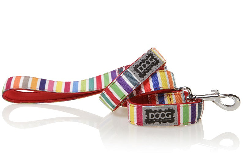 DOOG Neopren Hundeleine Scooby Multicolor gestreift