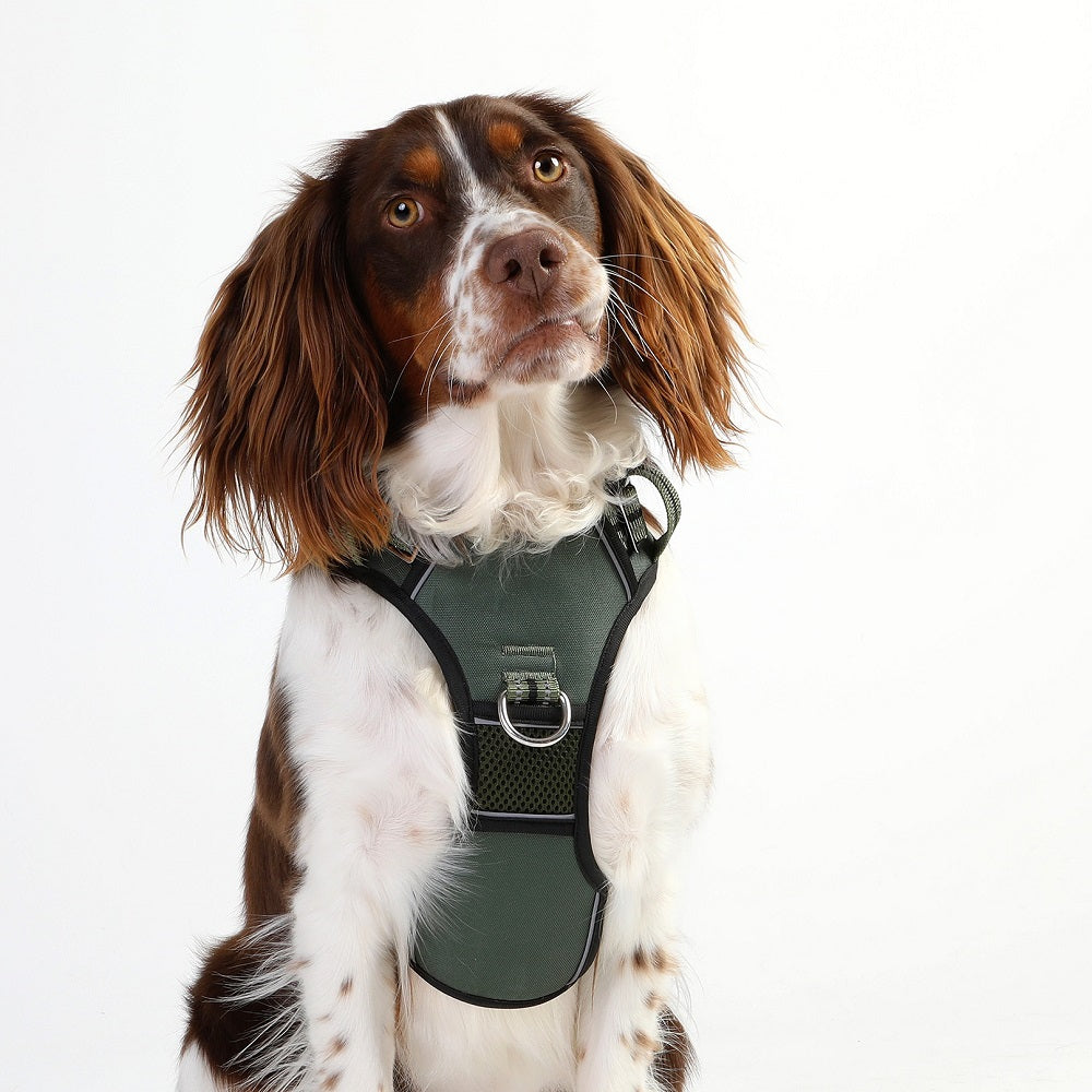 DOOG Neotech Hundegeschirr - Grün