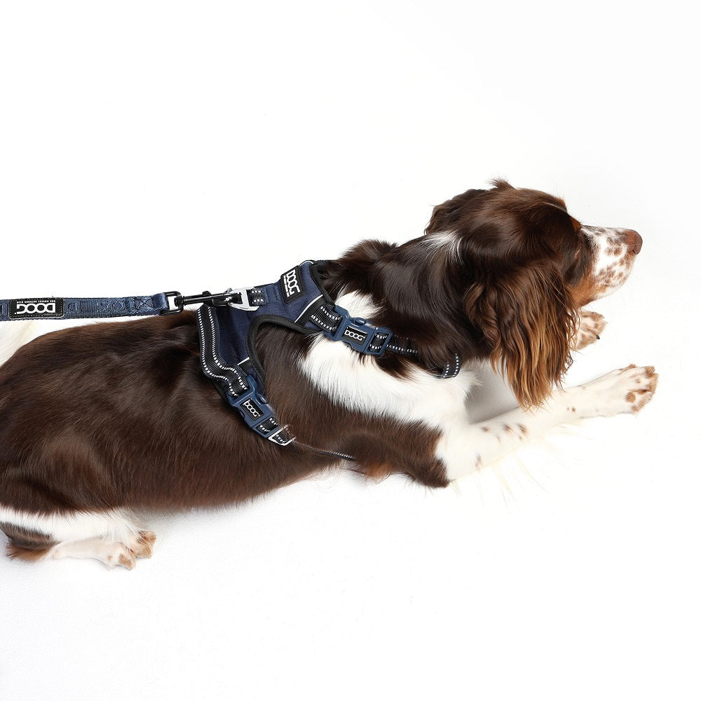 DOOG Neotech Hundegeschirr - Navy