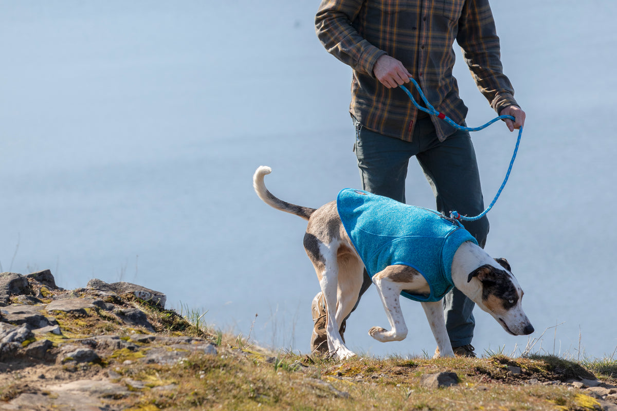 Kurgo Core Hundepullover Heather Blue – Ansicht 3