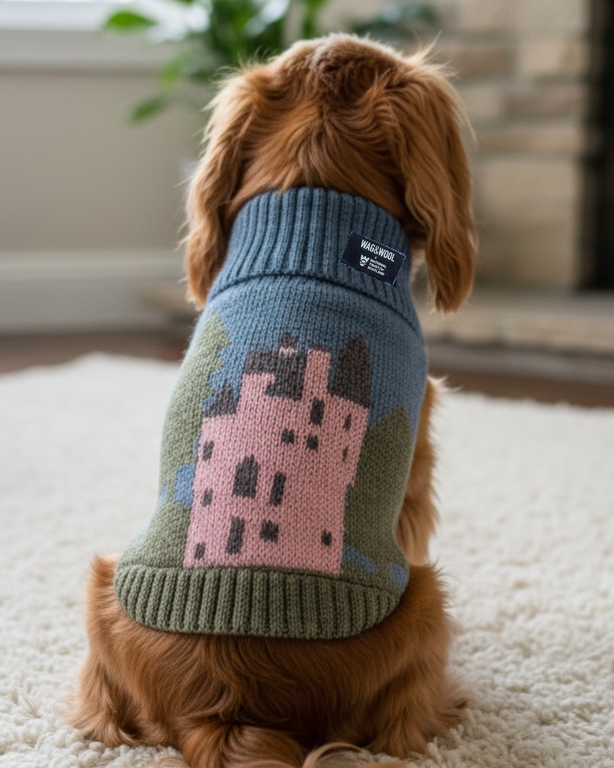 Passender Hundepullover Pink Castle