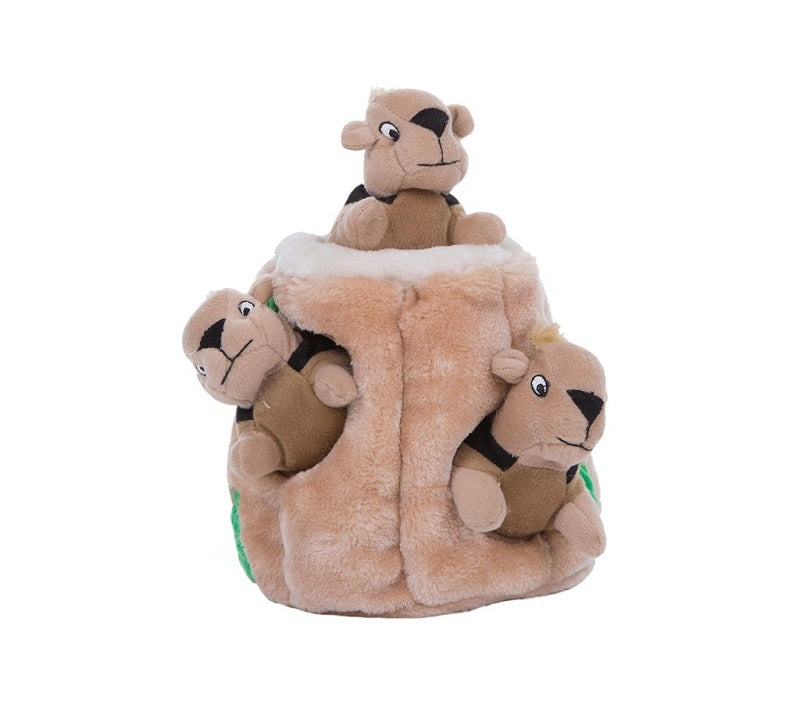 Outward Hound Hide-A-Squirrel Intelligenzspielzeug