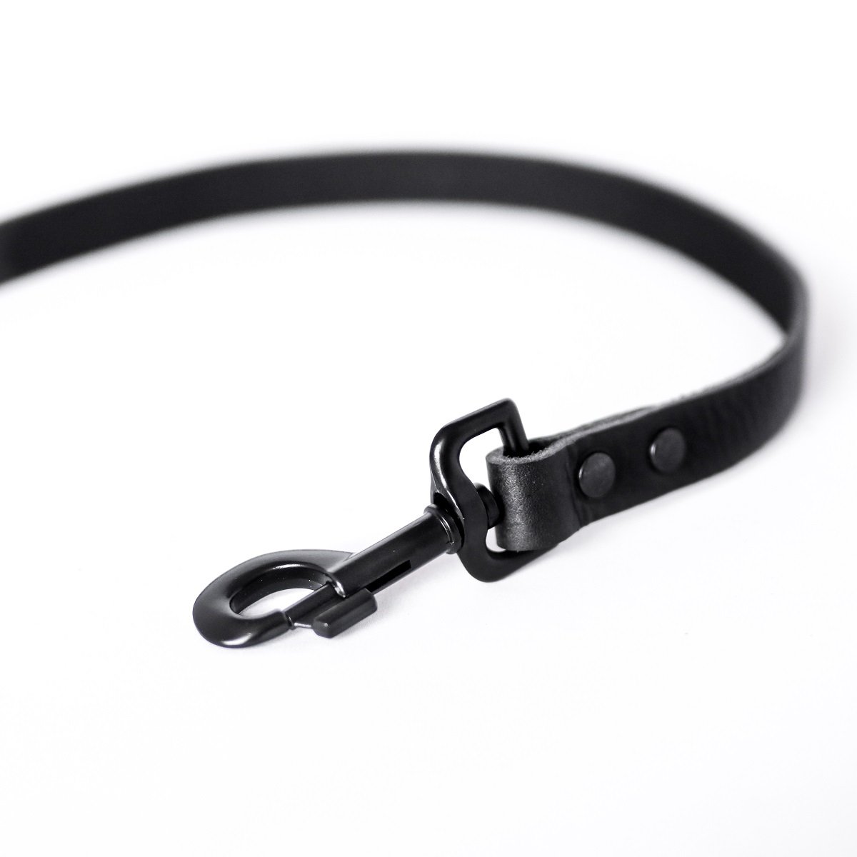 Lederleine in Schwarz von Cooper & Quint