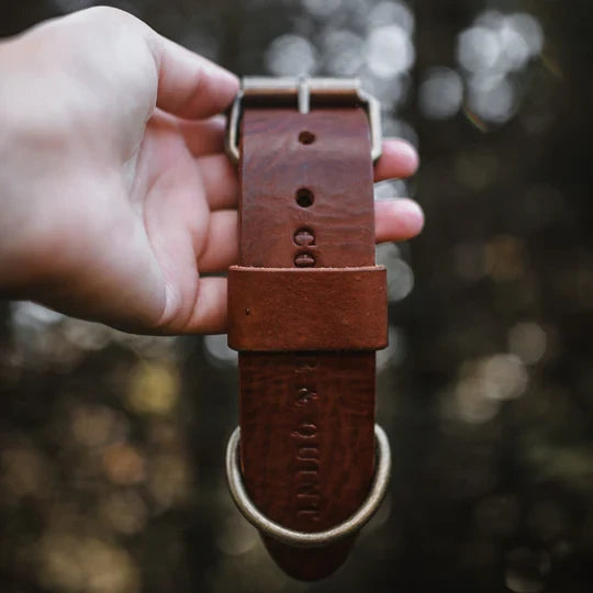 Breites Lederhalsband in Braun von Cooper & Quint