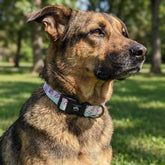 Hundehalsband Pastell von Goofy Goldens – Ansicht 2