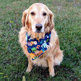 Hundebandana Deep Agua von Goofy Goldens – Ansicht 2