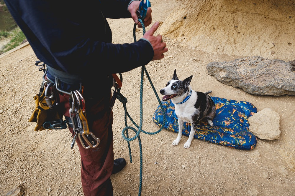 Ruffwear Basecamp Hundebett Deep Jungle – Ansicht 5