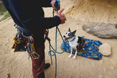 Ruffwear Basecamp Hundebett Deep Jungle – Ansicht 5