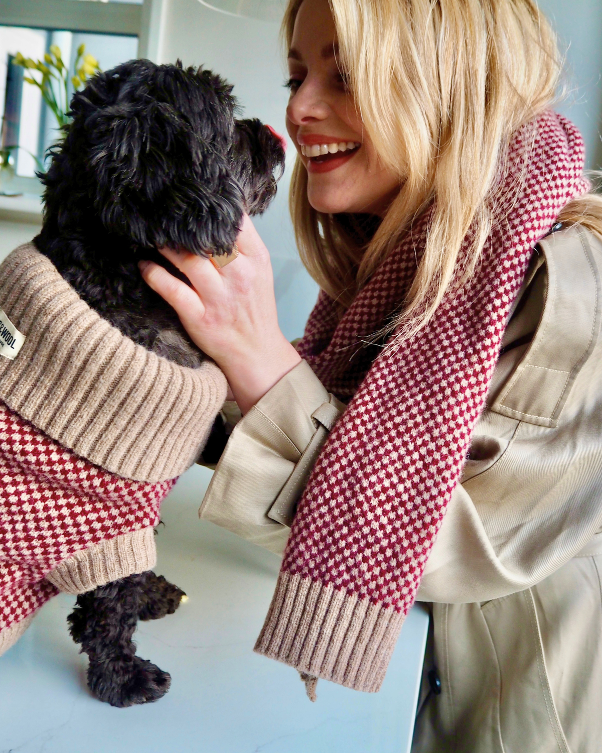Partnerlook: Schal Burgundy und passender Hundepullover