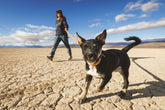 Ruffwear Crag Hundehalsband Desert Spice – Ansicht 4