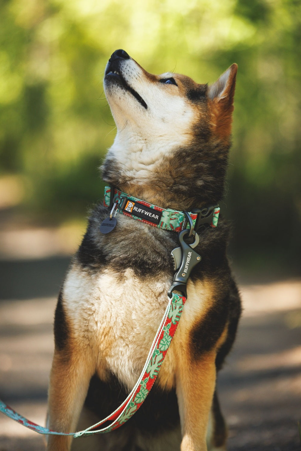 Ruffwear Crag Hundehalsband Tropical Bloom – Ansicht 3