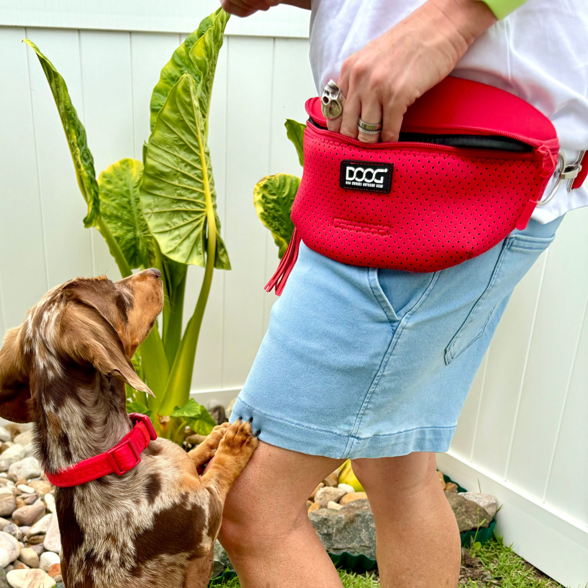 DOOG Neosport Gürteltasche Rot beim Gassigehen