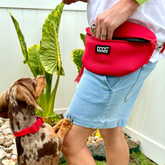 DOOG Neosport Gürteltasche Rot beim Gassigehen