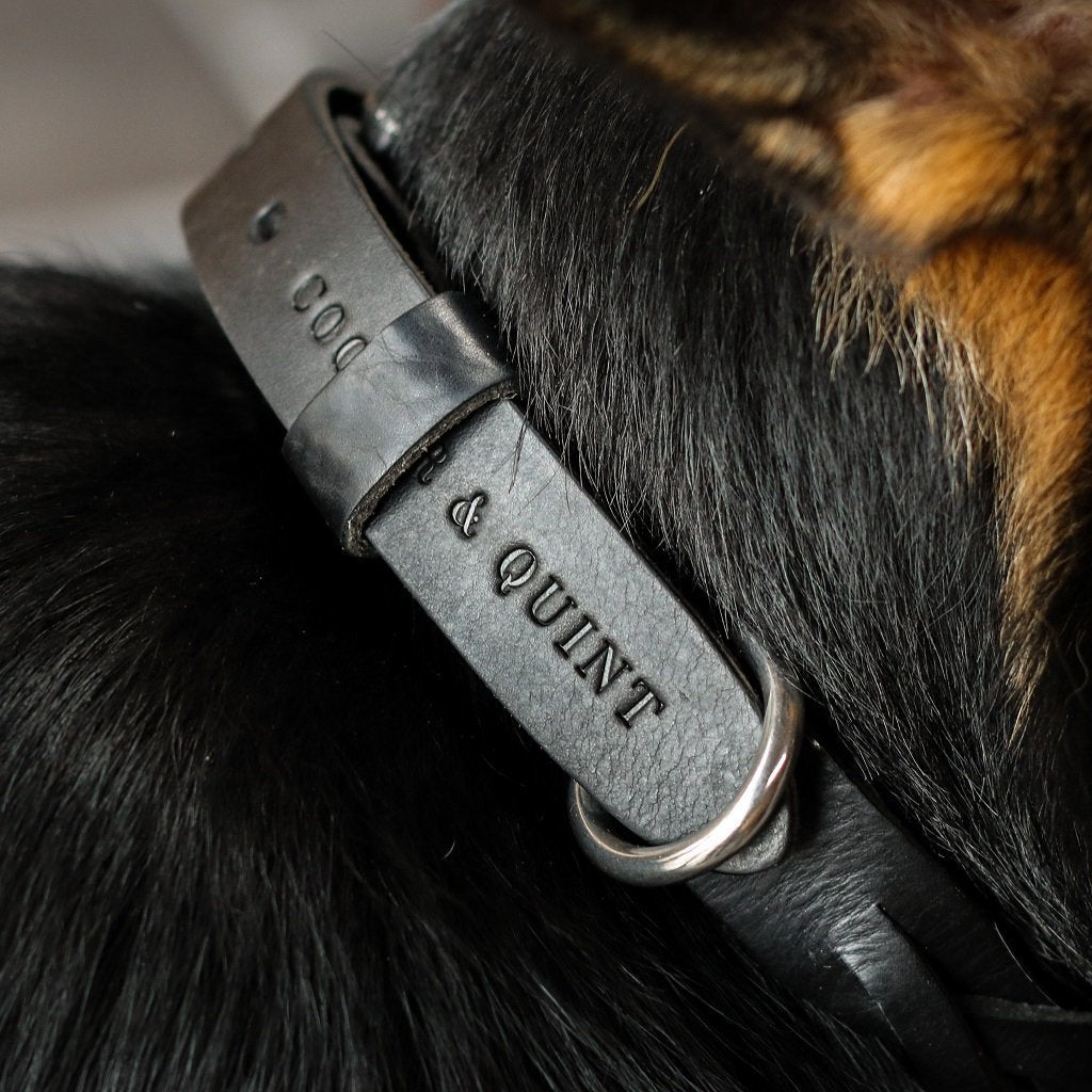 Geflochtenes Lederhalsband TWISTED in Schwarz von Cooper &amp; Quint