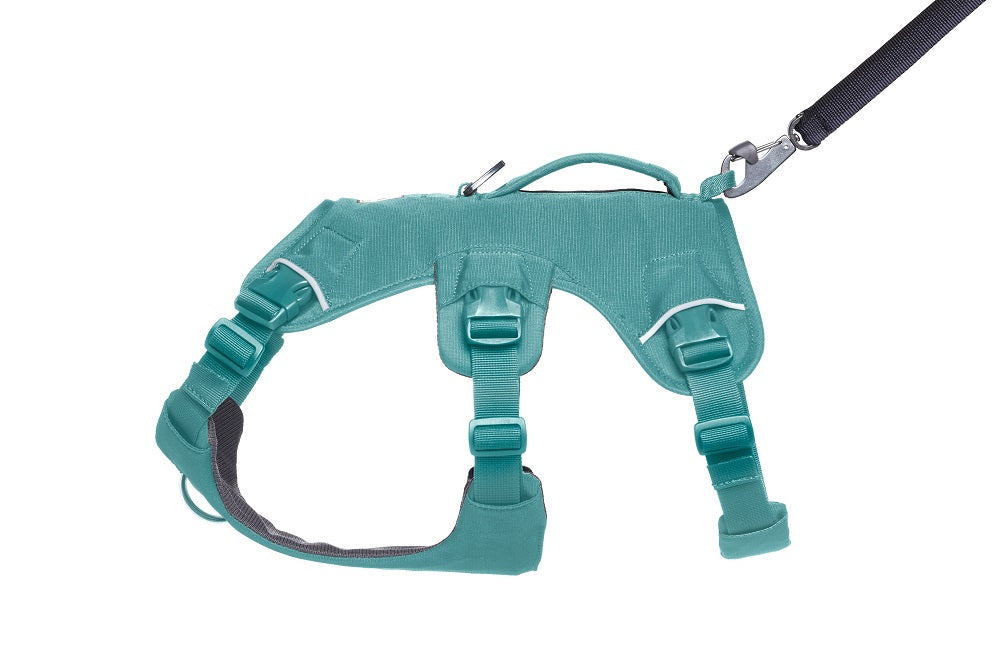 Ruffwear Web Master Hundegeschirr River Rock Green – Ansicht 4