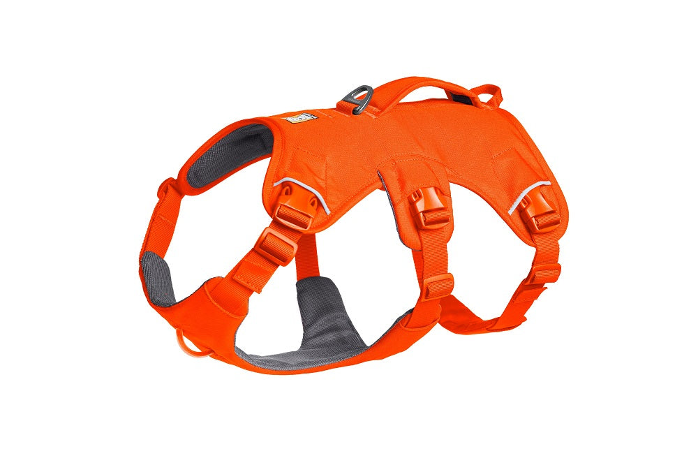 Ruffwear Web Master Hundegeschirr Blaze Orange – Ansicht 2