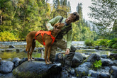Ruffwear Web Master Hundegeschirr Blaze Orange – Ansicht 8