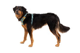 Ruffwear Front Range Hundegeschirr Spring Mountains – Ansicht 4