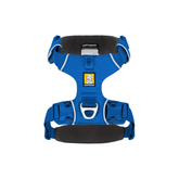Ruffwear Front Range Geschirr Blue Pool – von oben