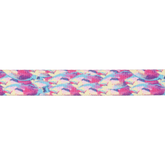 Ruffwear Front Range Leine Reef Fish – Muster