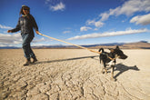 Ruffwear Crag Hundeleine Desert Spice – Ansicht 4