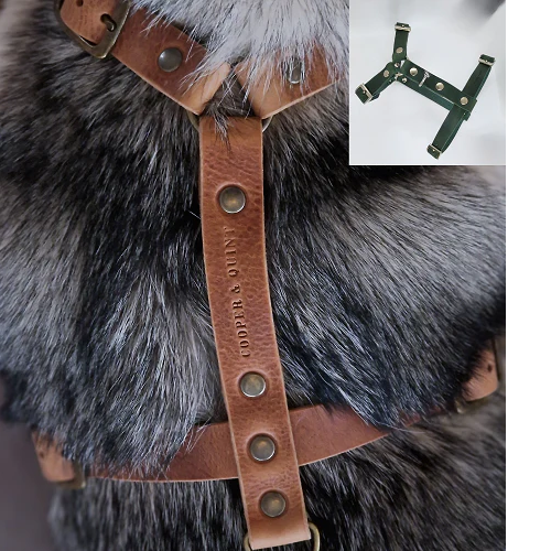 Hundegeschirr aus Leder in Grün von Cooper &amp; Quint