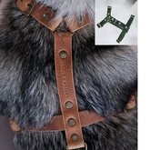 Hundegeschirr aus Leder in Grün von Cooper & Quint