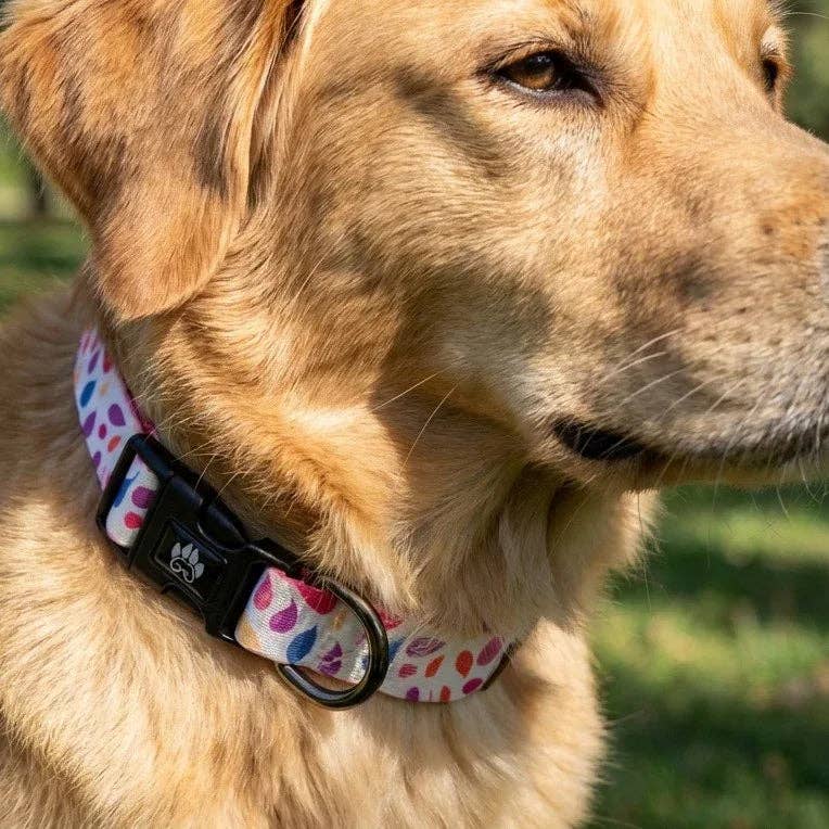 Hundehalsband Blütenblätter von Goofy Goldens – Ansicht 6