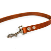 Lederleine in Braun von Cooper & Quint