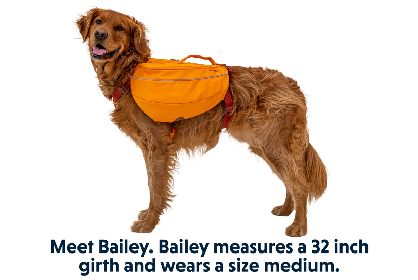 Approach™ Rucksack für Hunde von Ruffwear - Campfire Orange