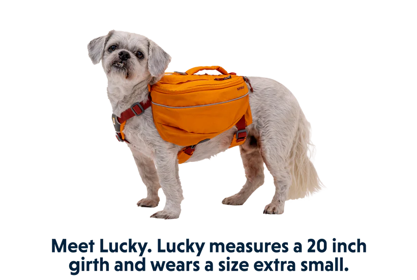 Approach™ Rucksack für Hunde von Ruffwear - Campfire Orange