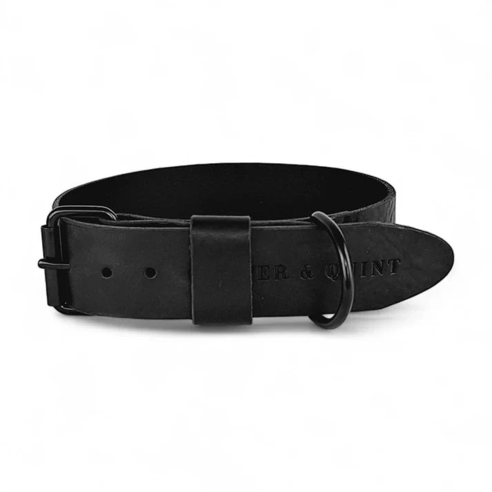 Breites Lederhalsband in Schwarz von Cooper &amp; Quint