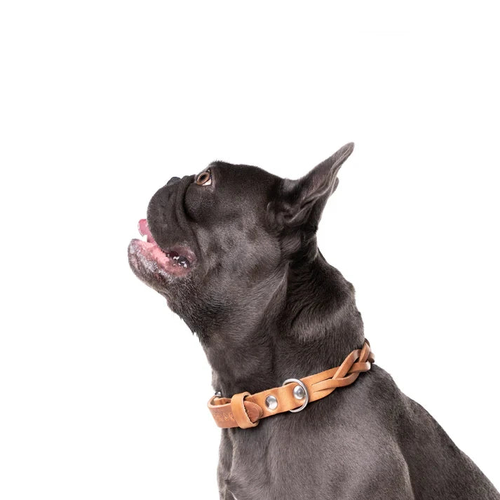 Geflochtenes Lederhalsband TWISTED in Cognac von Cooper &amp; Quint