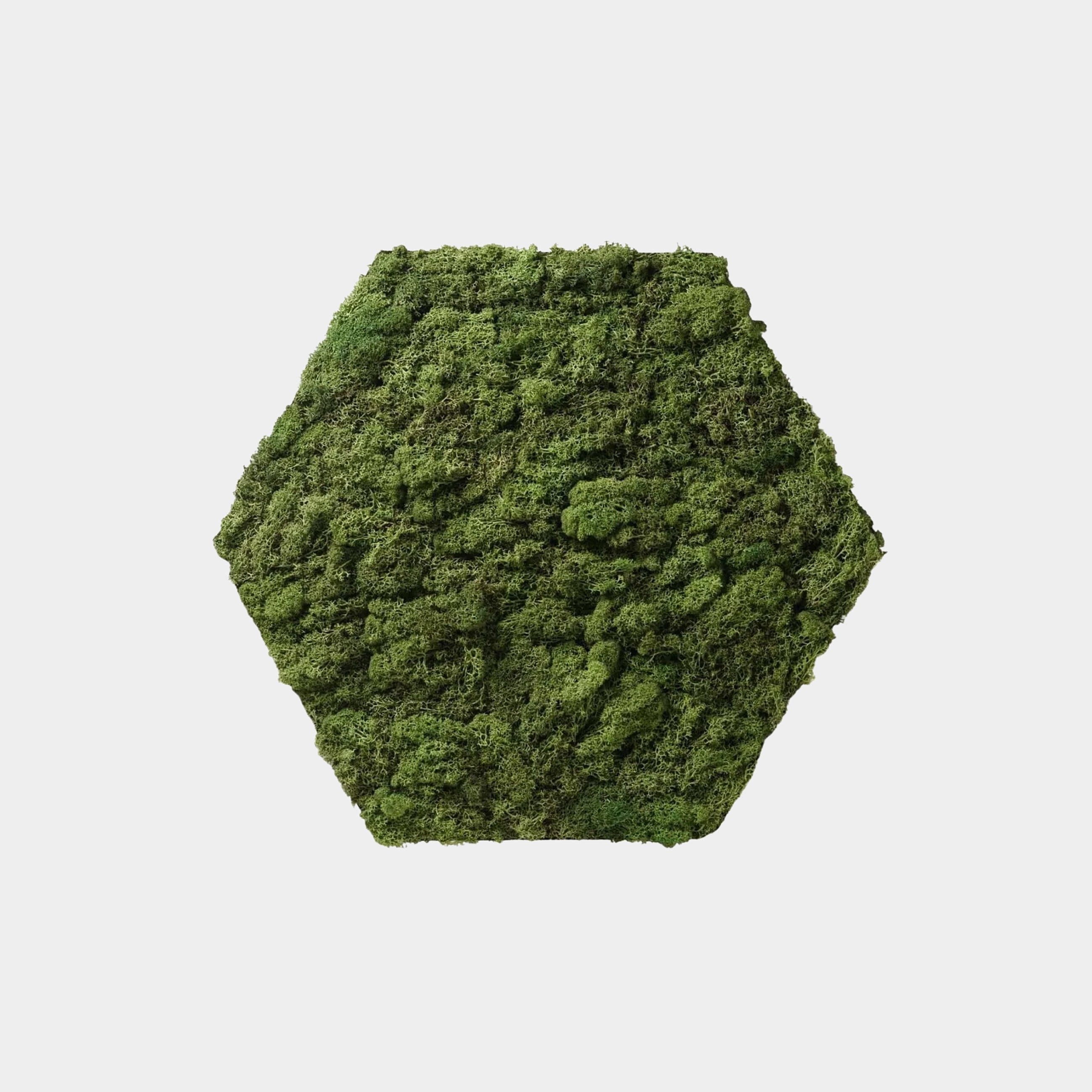 Huldra Hexagon Groen Mos