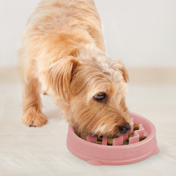 Hund frisst aus dem Outward Hound Slo Bowl Wave Pink