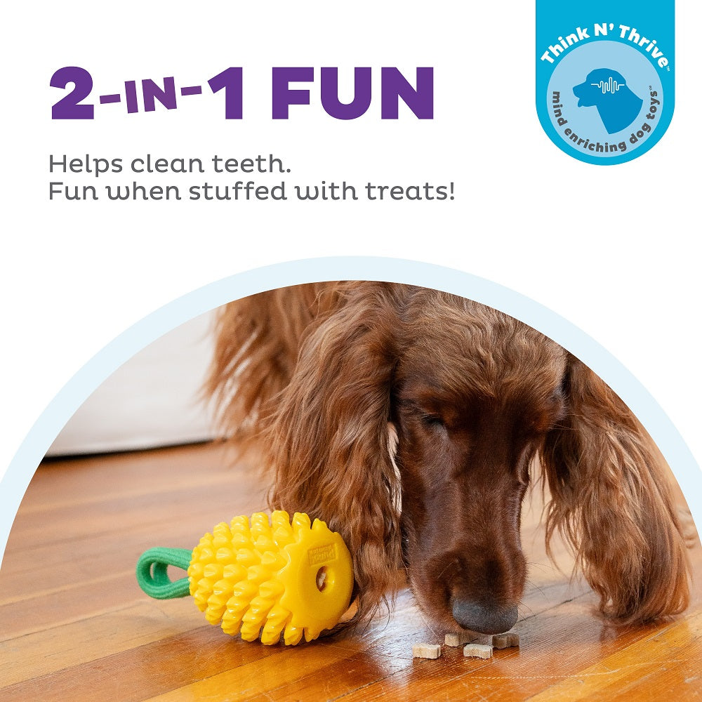 Planet Dog Dental Pineapple – Ansicht 2