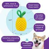 Planet Dog Dental Pineapple – Ansicht 4