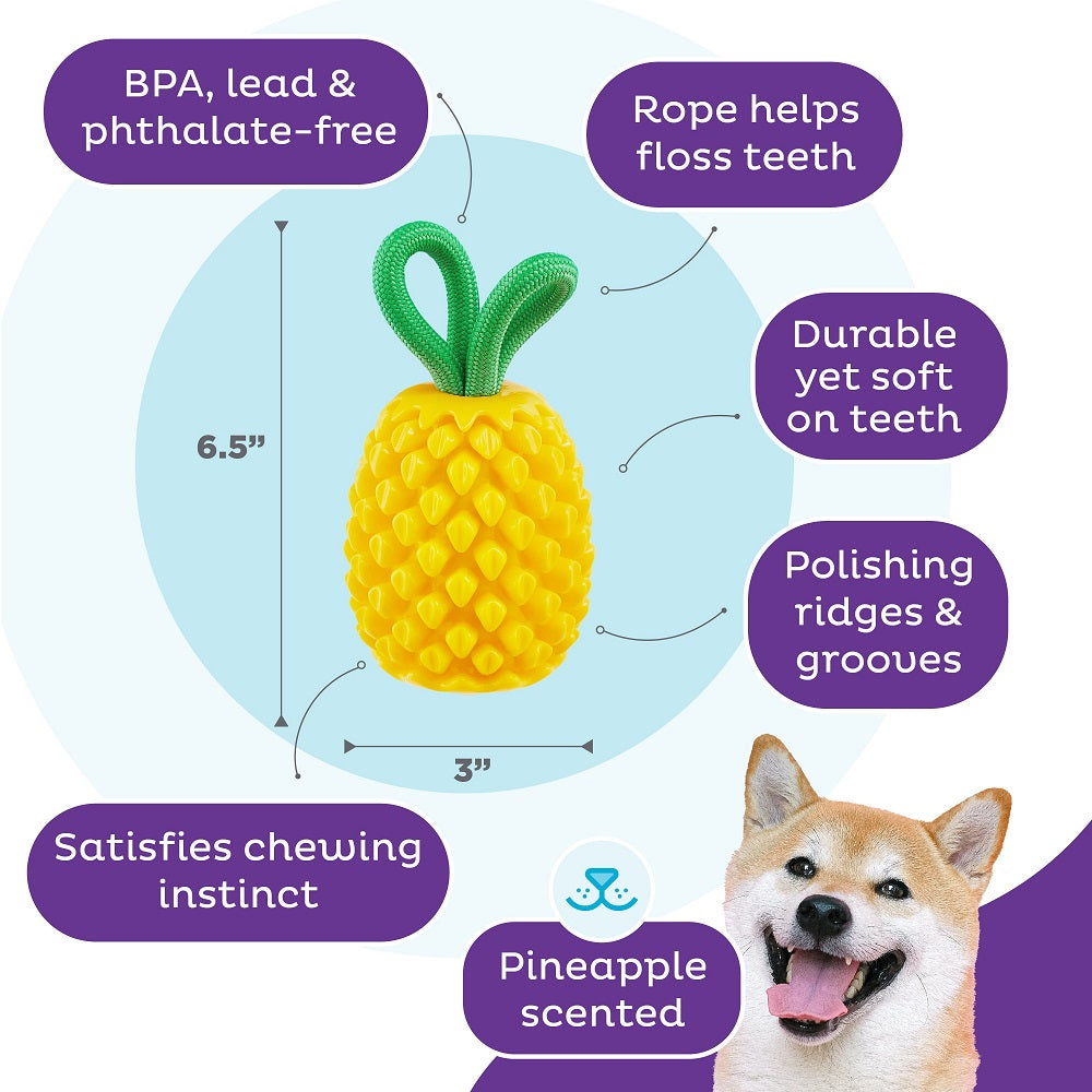 Planet Dog Dental Pineapple – Ansicht 4